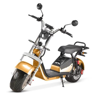Προσαρμοσμένα Υποστηριζόμενα Χρώματα 1500W Motor Power Fat Tire Electric Scooter για το Citycoco