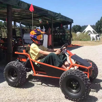 Διασκέδαση Πάρκο ενοικίασης Golf Buggy Cart με 1000W Brushless Motor και ΕΟΚ Πιστοποίηση