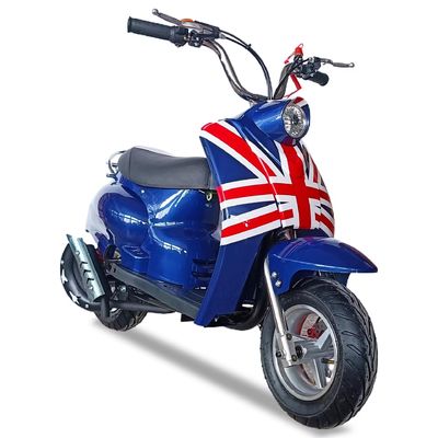 Αναβαθμίστε το Ride των Παιδιών σας Μίνι ποδήλατα με κινητήρα 49cc και πιστοποίηση CE