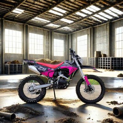 Ηλεκτρική εκκίνηση 250cc Enduro Dirt Bike Max. Ταχύτητα 100km/h Ιδανική για περιπέτειες εκτός δρόμου