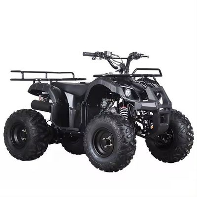 Αλυσιδωτή κίνηση 110cc/125cc 4χρονο All-Terrain τετρακίνητο Beach Buggy Βενζινοκίνητο Quadbike