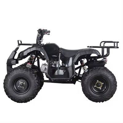 Αλυσιδωτή κίνηση 110cc/125cc 4χρονο All-Terrain τετρακίνητο Beach Buggy Βενζινοκίνητο Quadbike