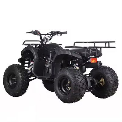 Αλυσιδωτή κίνηση 110cc/125cc 4χρονο All-Terrain τετρακίνητο Beach Buggy Βενζινοκίνητο Quadbike