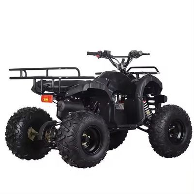 Αλυσιδωτή κίνηση 110cc/125cc 4χρονο All-Terrain τετρακίνητο Beach Buggy Βενζινοκίνητο Quadbike