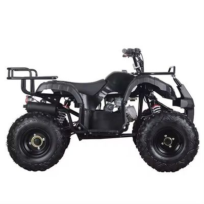 Αλυσιδωτή κίνηση 110cc/125cc 4χρονο All-Terrain τετρακίνητο Beach Buggy Βενζινοκίνητο Quadbike