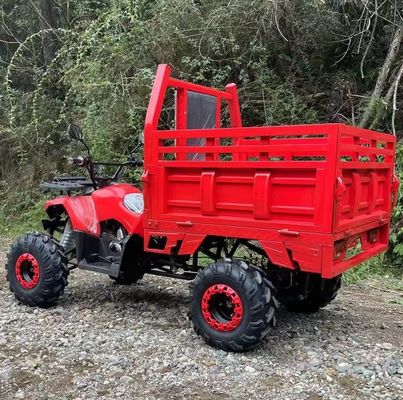 Αγροτικό ATV Aotong 125cc/150cc με ρυμουλκούμενο και κιβώτιο φορτίου 2WD 4WD Off Road ATV τάση 12V