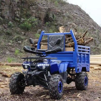 Αγροτικό ATV Aotong 125cc/150cc με ρυμουλκούμενο και κιβώτιο φορτίου 2WD 4WD Off Road ATV τάση 12V