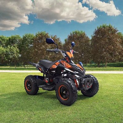 Παιδιά 50cc 4 Wheeler Quad Atv με πιστοποίηση CE και Μίνι τετράτροχη μοτοσυκλέτα 49cc