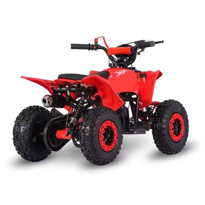 Οδήγηση Τύπος 2WD 2024 49cc 50cc 2 εγκεφαλικό Mini Quad ποδήλατο με βενζίνη ATV για παιδιά με CE