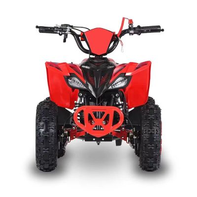 Οδήγηση Τύπος 2WD 2024 49cc 50cc 2 εγκεφαλικό Mini Quad ποδήλατο με βενζίνη ATV για παιδιά με CE
