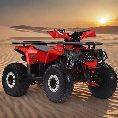 110cc 125cc Quad Bike 4 Wheeler Adventure ATV 4x2 Οδήγηση για ενήλικες Εύκολο σε ελιγμό