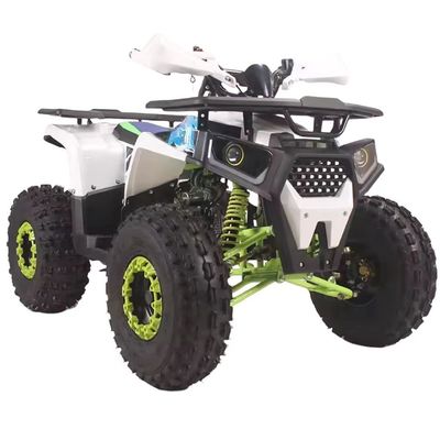 110cc 125cc Quad Bike 4 Wheeler Adventure ATV 4x2 Οδήγηση για ενήλικες Εύκολο σε ελιγμό