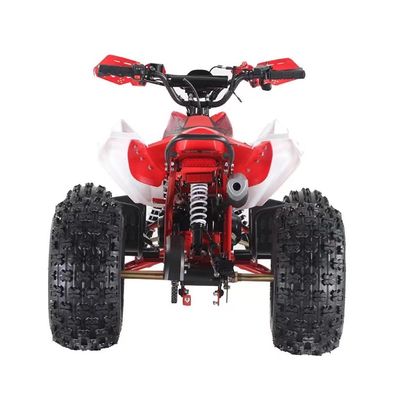 110CC/125CC 4-χρονο Scooter Gas Quad ATV με και μη εξοπλισμένο αποκλεισμό διαφορικού