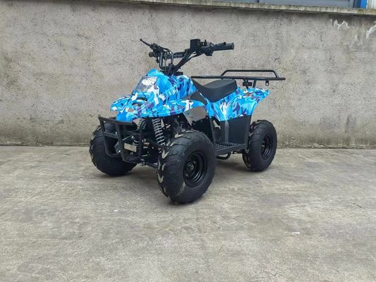 70CC/110CC Αυτοματοποιημένο Quad Διασκεδαστικό παιχνίδι ATV Buggy για εφήβους με 1 κύλινδρο και προσιτό