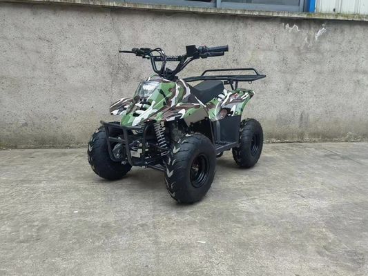 70CC/110CC Αυτοματοποιημένο Quad Διασκεδαστικό παιχνίδι ATV Buggy για εφήβους με 1 κύλινδρο και προσιτό