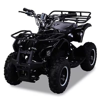 800W Ηλεκτρικό Mini Kids Racing ATV με Rack Quad Bike Ιδανικό για ικανότητα βαθμού ≥25°