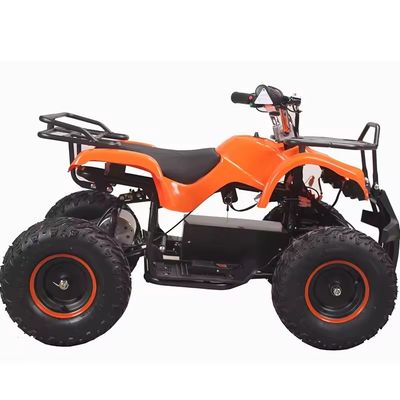 800W Ηλεκτρικό Mini Kids Racing ATV με Rack Quad Bike Ιδανικό για ικανότητα βαθμού ≥25°