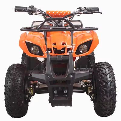 800W Ηλεκτρικό Mini Kids Racing ATV με Rack Quad Bike Ιδανικό για ικανότητα βαθμού ≥25°