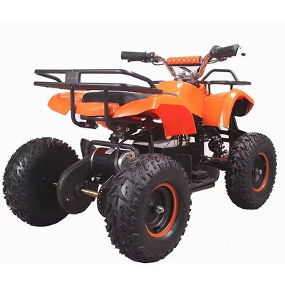 800W Ηλεκτρικό Mini Kids Racing ATV με Rack Quad Bike Ιδανικό για ικανότητα βαθμού ≥25°