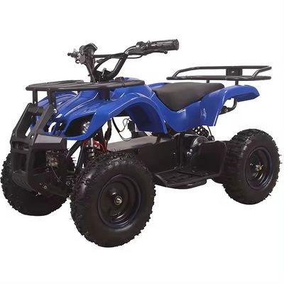 800W Ηλεκτρικό Mini Kids Racing ATV με Rack Quad Bike Ιδανικό για ικανότητα βαθμού ≥25°