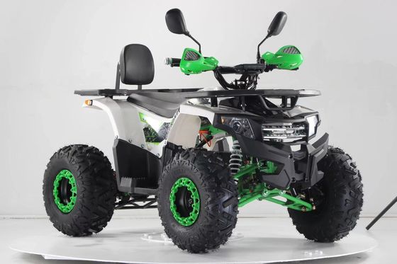 2WD Type Aotong Motor 1000W Ηλεκτρικό Side by Side ATV με μπαταρία 60V 20AH