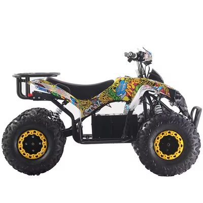 Προσαρμοσμένα Χρώματα 1000W/1500W ATV Quads με Ft Disc Rr Disc Brake