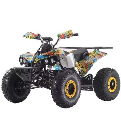 Προσαρμοσμένα Χρώματα 1000W/1500W ATV Quads με Ft Disc Rr Disc Brake