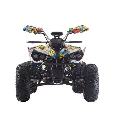 Προσαρμοσμένα Χρώματα 1000W/1500W ATV Quads με Ft Disc Rr Disc Brake