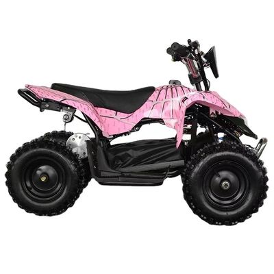 Μακροχρόνια διάρκεια ζωής μπαταρίας Aotong Motor 1000W 36V Ηλεκτρικό Mini Quad ATV για μωρό