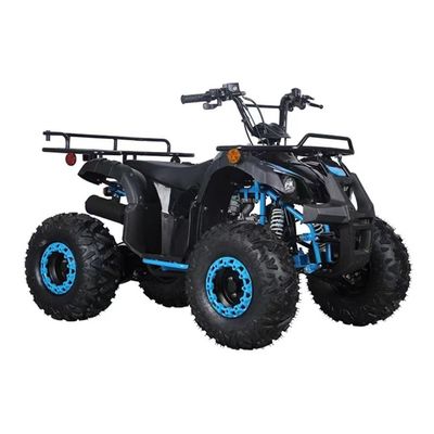 Πιστοποιημένο CE 110cc 125cc Big Power Farm Quad Bike για εξωτερικές περιπέτειες των παιδιών