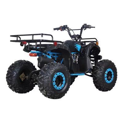 Πιστοποιημένο CE 110cc 125cc Big Power Farm Quad Bike για εξωτερικές περιπέτειες των παιδιών
