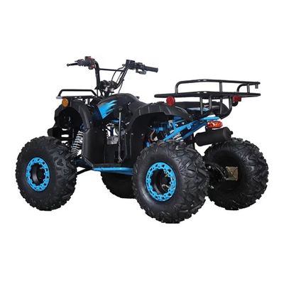 Πιστοποιημένο CE 110cc 125cc Big Power Farm Quad Bike για εξωτερικές περιπέτειες των παιδιών