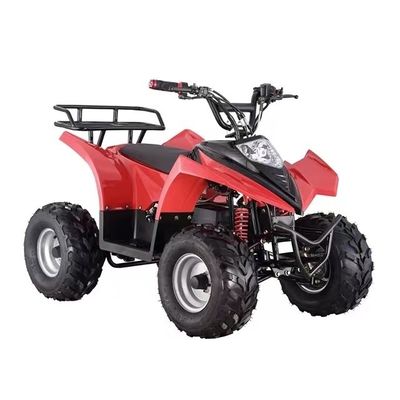 Ηλεκτρικό τετρακίνητο ATV για παιδιά 750W 800W 1000W 48V Τεμάχιο 16x8-7 Διάρκεια οδήγησης ≤30km