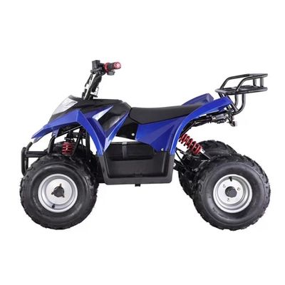 Ηλεκτρικό τετρακίνητο ATV για παιδιά 750W 800W 1000W 48V Τεμάχιο 16x8-7 Διάρκεια οδήγησης ≤30km