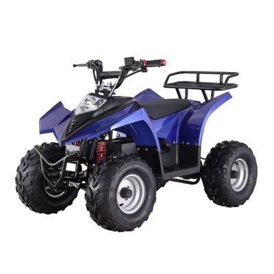 Ηλεκτρικό τετρακίνητο ATV για παιδιά 750W 800W 1000W 48V Τεμάχιο 16x8-7 Διάρκεια οδήγησης ≤30km