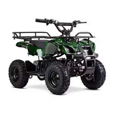 Ηλεκτρικό ATV 500W 800W 4 Wheeler Quad Bike για παιδιά εκτός δρόμου Περιπέτειες και περιπέτειες