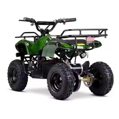 Ηλεκτρικό ATV 500W 800W 4 Wheeler Quad Bike για παιδιά εκτός δρόμου Περιπέτειες και περιπέτειες