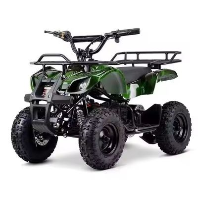 Ηλεκτρικό ATV 500W 800W 4 Wheeler Quad Bike για παιδιά εκτός δρόμου Περιπέτειες και περιπέτειες