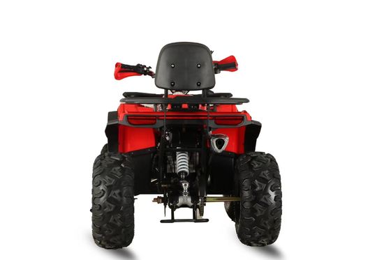 Έτοιμο για οδική χρήση ATV 200cc με μπροστινό δίσκο