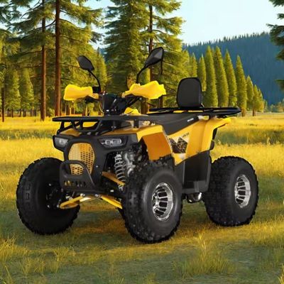 125cc Farm Quads ATV για ενήλικες Ενίσχυρος κινητήρας αερίου / ντίζελ και αλυσίδας
