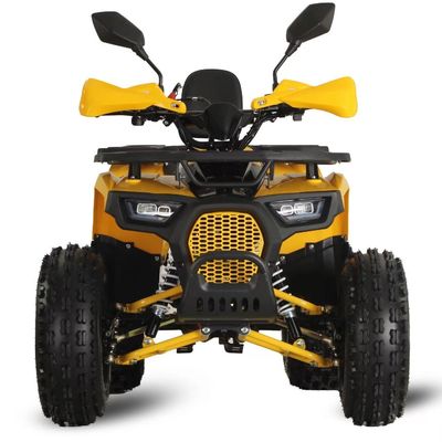 125cc Farm Quads ATV για ενήλικες Ενίσχυρος κινητήρας αερίου / ντίζελ και αλυσίδας