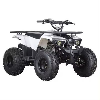 Αυτόματο κιβώτιο ταχυτήτων τύπου Aotong Motor 110cc 125cc 150cc Cuatrimoto ATV για ενήλικες