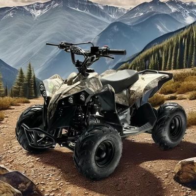 Καύσιμο αερίου 110CC ATV που τροφοδοτείται από σύστημα μετάδοσης αλυσίδας