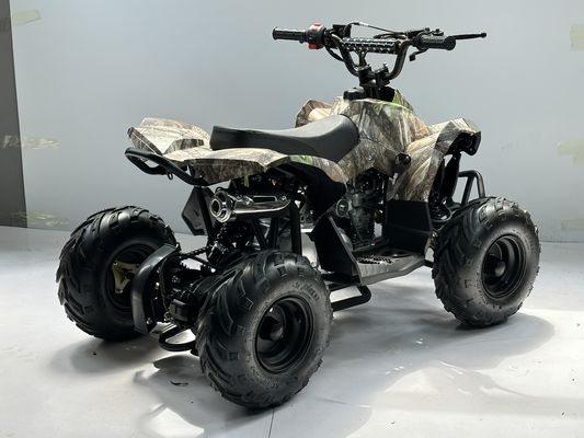 Καύσιμο αερίου 110CC ATV που τροφοδοτείται από σύστημα μετάδοσης αλυσίδας
