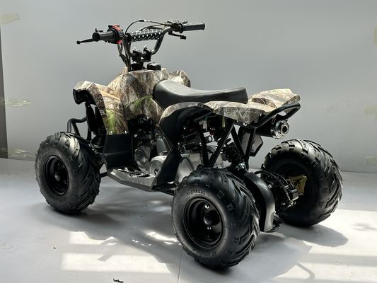 Καύσιμο αερίου 110CC ATV που τροφοδοτείται από σύστημα μετάδοσης αλυσίδας