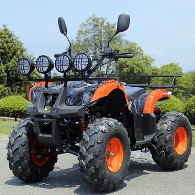 110cc 125cc ATV προσιτή αυτόματη αλυσίδα κίνησης με μη εξοπλισμένη κλειδαριά διαφορικού