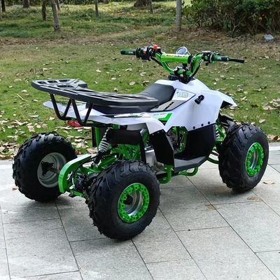 1250*760*800MM 110CC Διακίνηση Παιδιά ATV με ηλεκτρική εκκίνηση και αλυσίδα κίνησης