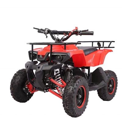 Μίνι 50cc βενζινοκίνητα παιδικά ATV τετρακίνητα τετράτροχα μοτοσυκλέτα με βάρος ≤100kg