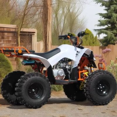 110cc-125cc αυτόματο ATV για ενήλικες CE εγκεκριμένο 8 ιντσών ελαστικό βενζίνη τετρακίνη μεγάλα τροχούς