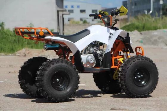 Παιδικό οικονομικό 110cc αυτόματο ATV με μπροστινό τύμπανο και πίσω φρένα δίσκου